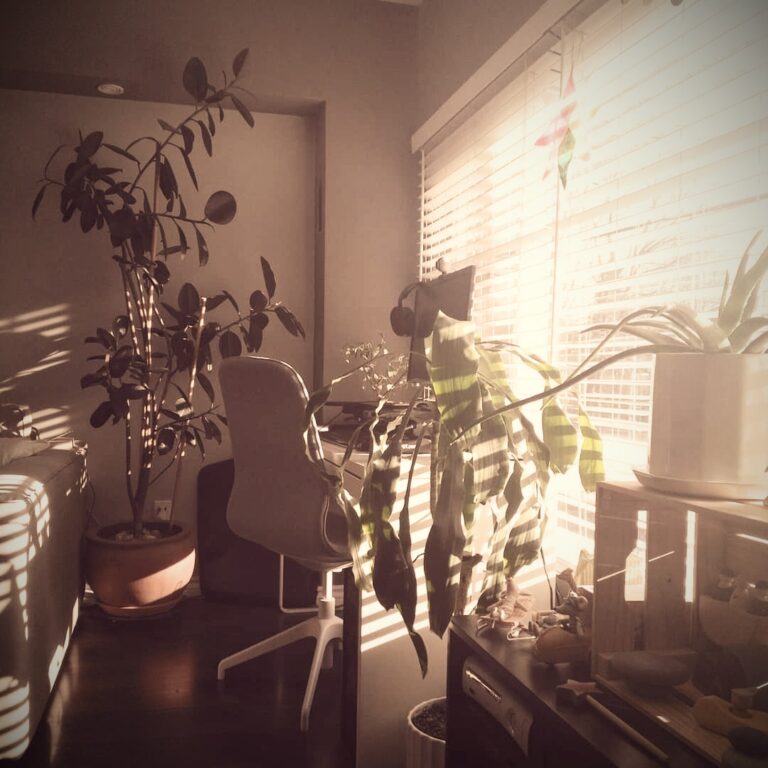 17898353896902326 edited 768x768